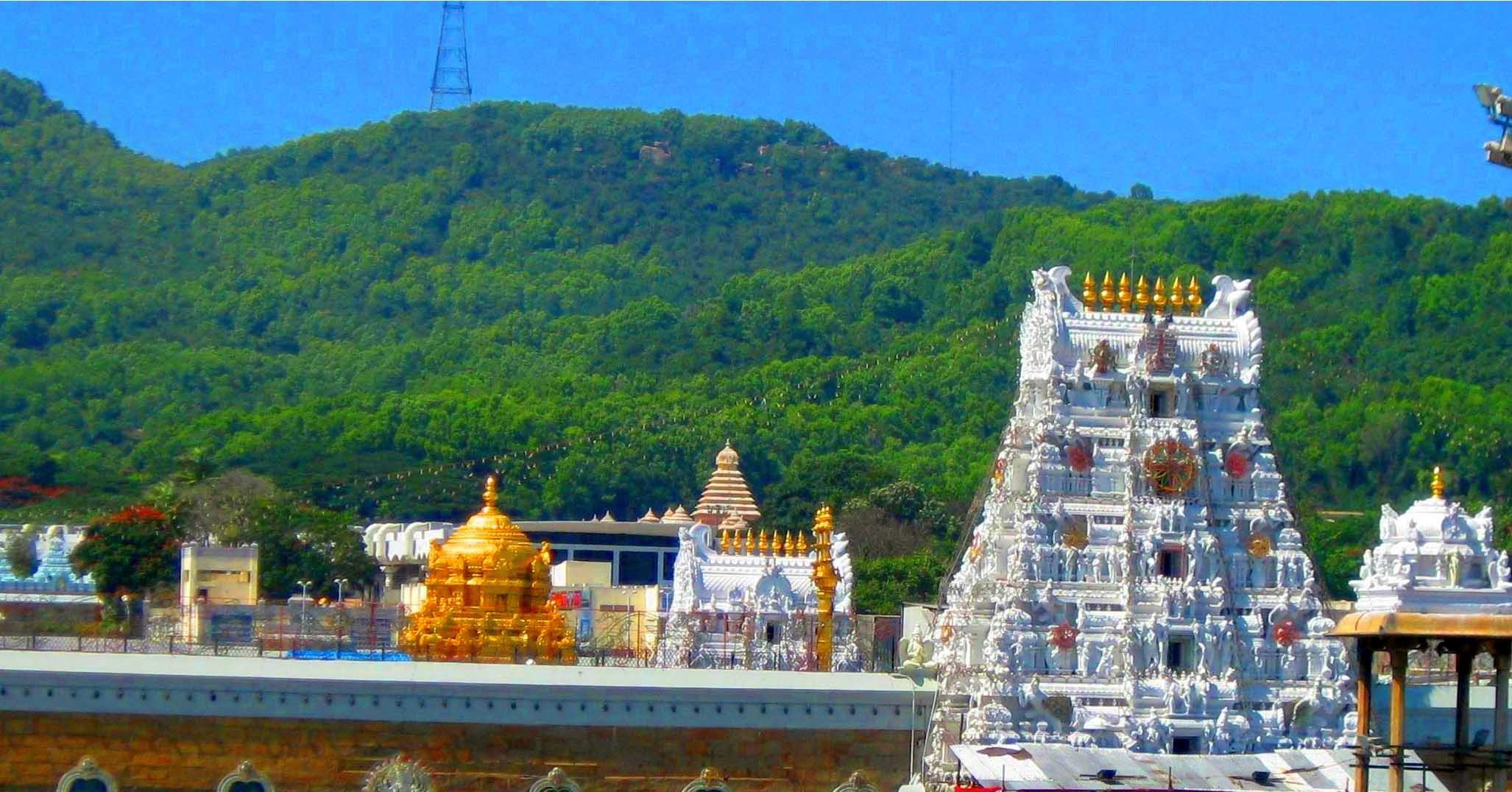 About TTD Temple Venkateswara Temple Tirumala