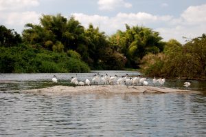 Water Bird Sanctuary