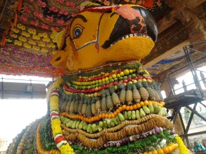 Puja’s and Seva’s of mahanandi temple