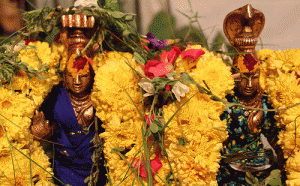 description on rahu ketu pooja in srikalahasti